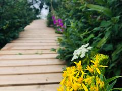 -白草畔自然风景区