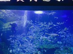 -多彩贵州城极地海洋世界