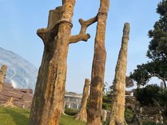 -狼山风景名胜区