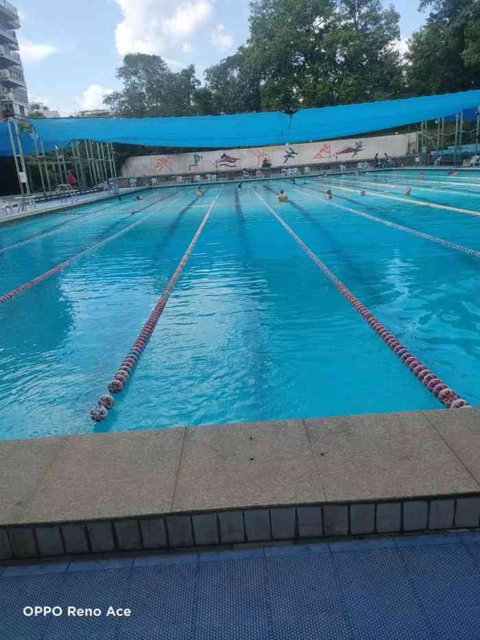 大梦山游泳池-"常去的泳池没开门,就改来这家了～大众上.