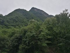 -沣峪口