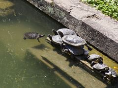 -宁波市保国寺古建筑博物馆