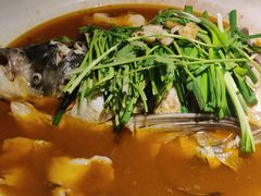 山茶油丹江大鱼头-清水亭湖北菜(大屯DT51店)