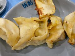 鲜肉锅贴王-天天锅贴王(迎凤街店)