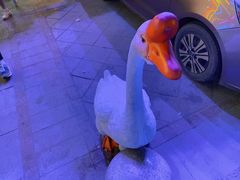 -山河屯铁锅炖(哈西站店)