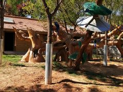 -石家庄市动物园