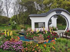 -上海共青森林公园