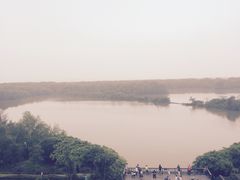-大湾区中央湿地公园