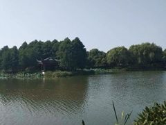 景点-尚贤河湿地