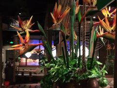 -云海肴·云南小炒·汽锅鸡(天津国金汇店)