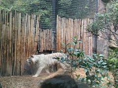 -红山森林动物园
