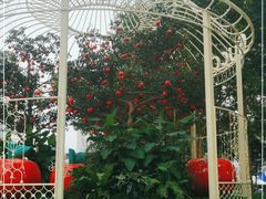 -Gucci(北京SKP店)