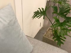 -仁义涵西餐·咖啡(中华巴洛克店)