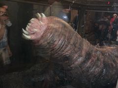 -奥兰多环球影城