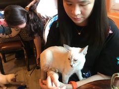 -郑州梵高星空错觉艺术馆(大上海城旗舰店)
