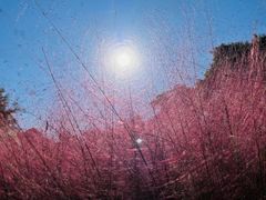 -钟山体育运动公园