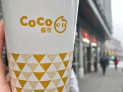 -CoCo都可(骆家庄新店)