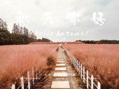 -嘉北郊野公园