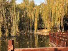 -西安市长乐公园