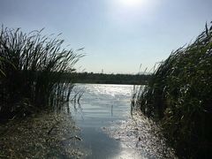 -永定河休闲森林公园