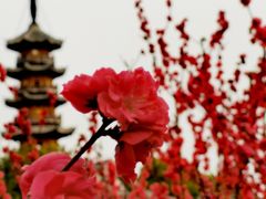 -上海市龙华烈士陵园