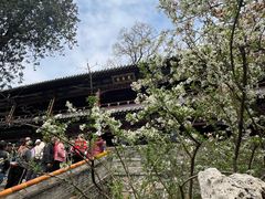 -潭柘寺景区