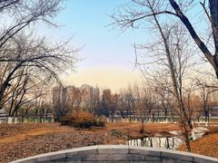 -长白岛森林公园