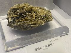 -湖南省地质博物馆