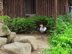 -上方山森林动物世界