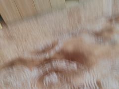 -上海佘山茂御臻品之选酒店(原佘山艾美酒店)