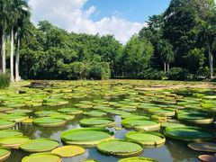 -中国科学院西双版纳热带植物园