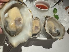 -Oyster Talks 四度蚝法餐厅