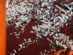 -钱王祠