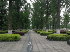 -百林公园-两江幸福广场
