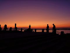 -宝安西湾红树林湿地公园