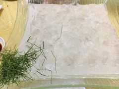 -联邦酒楼