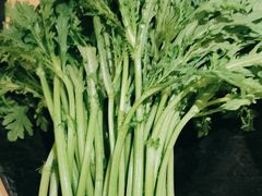 -顺德公广东猪肚鸡·煲仔饭(白石洲店)
