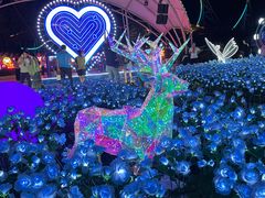 -合肥融创乐园