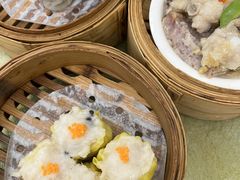 -有心德(麦地店)