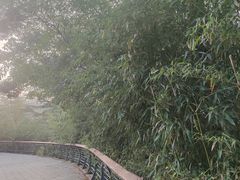 -贮水山儿童公园