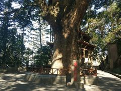 -安溪清水岩
