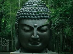 -杭州植物园