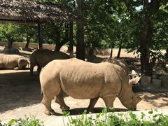 -西安秦岭野生动物园