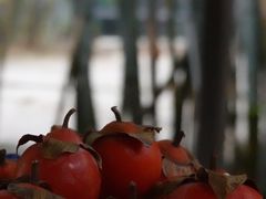 -扫雪煮茶(西村店)