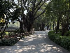 -荔湾湖公园