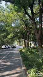 -弗蕾亚·和月月子调理院(东湖店)