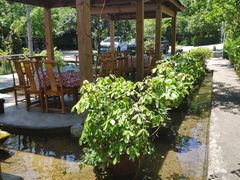 -源泉冷水鱼庄(小鱼洞店)