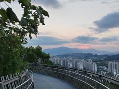 -福道