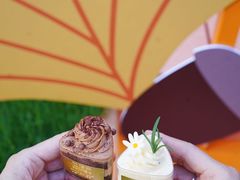 -杜哈夫DOUX RÊVE·生日蛋糕(日月光店)