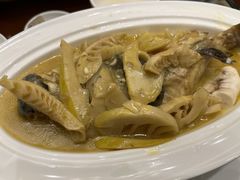河豚-西苑大酒店